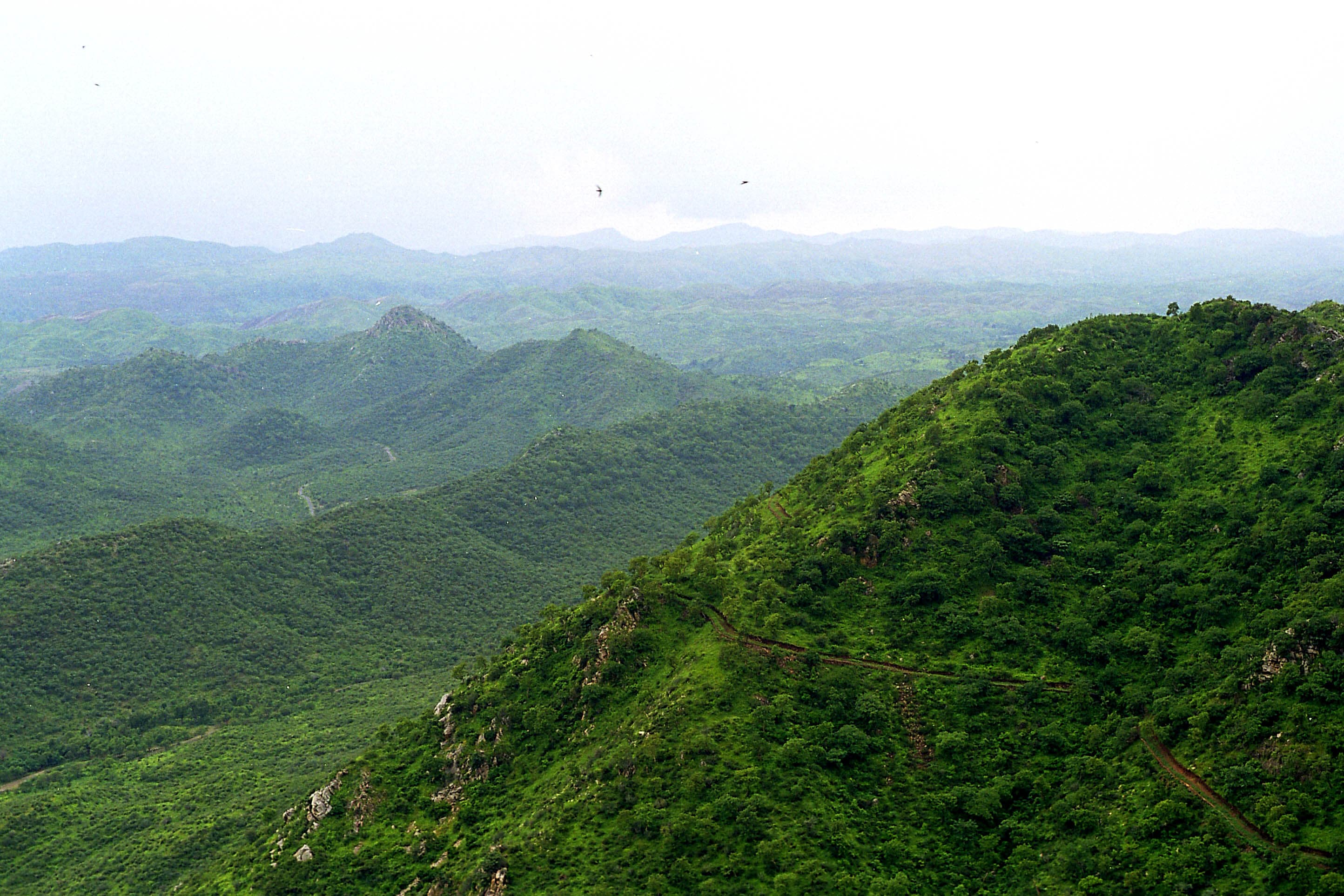 Aravali Trail Rides